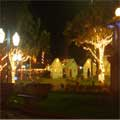 Natal Luz 2007